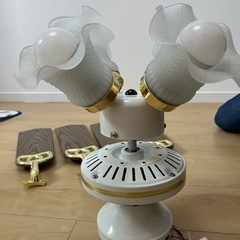 【ジャンク品】ファン付き　照明　リモコンの画像