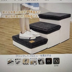 ドッグステップ3段　未開封の画像