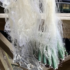 新品　立網の画像