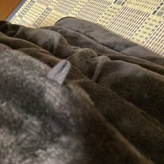 こたつ布団　200✖️240の画像