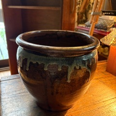 レトロ睡蓮鉢 ビオトープ の画像