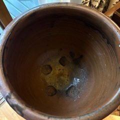 レトロ睡蓮鉢 ビオトープ の画像