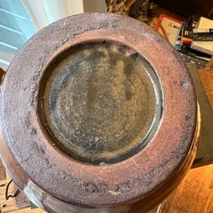 レトロ睡蓮鉢 ビオトープ の画像