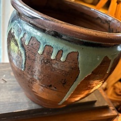 レトロ睡蓮鉢 ビオトープ の画像