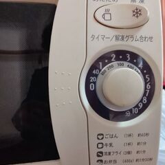 2009年製　シャープ電子レンジの画像