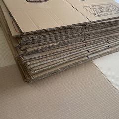 ダンボールの画像