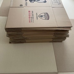 ダンボールの画像