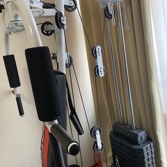 Irotec Multi Gym DX V2 / Benchpress, Training Machine, Diet, Dumbbellsの画像