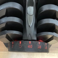 可変式ダンベル40kg × 2個　ホームジム バーベル アイロテック フレックスベル パワーブロックの画像