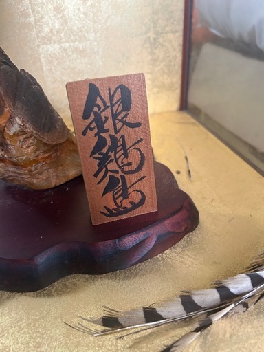 決まりました。たくさんのお問い合わせありがとうございました。銀鶏鳥　剥製