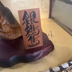 銀鶏鳥　剥製の画像