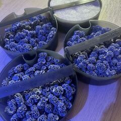 外部フィルター GEX メガパワー 9012の画像