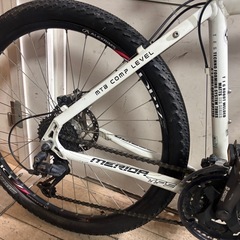MERIDA DISK MATTS TFS 100 マウンテンバイクの画像