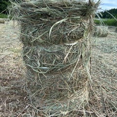 牧草ロール　ポニーの餌　馬の牧草　うさぎの敷きわら　大型犬の敷きわらの画像