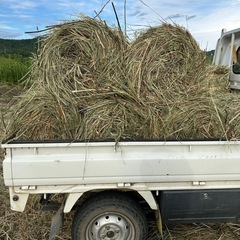 牧草ロール　ポニーの餌　馬の牧草　うさぎの敷きわら　大型犬の敷きわらの画像