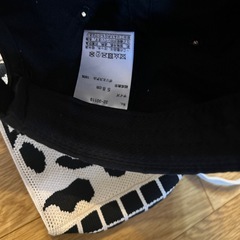 今日まとめての画像