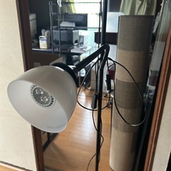 美品✨自立型照明  ライトの画像