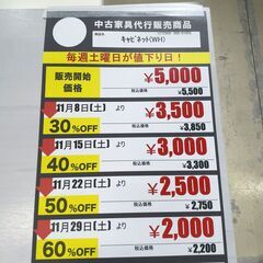 ｷｬﾋﾞﾈｯﾄ(No:1272906)の画像