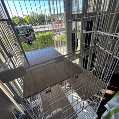 猫　ケージの画像