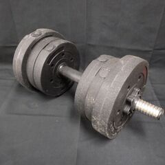 ダンベル 10kgの画像