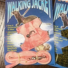 『11月14日まで』新品未使用！フェレット ハーネスの画像