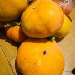 果物　柿　カキ　キズあり　10個位　日にちが経つごとに傷んだものは廃棄するので個数少なくなります　の画像