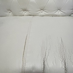 ソファ　無料の画像