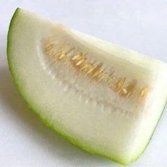 冬瓜の画像