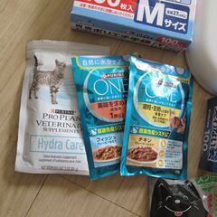 アイリスオーヤ　トレーニングペットトレー　FTT-485の画像