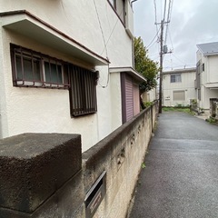 【無料】シュロの木2本（高さ5〜6m）｜専門業者による伐採・抜根が可能な方へ（川崎市宮前区）の画像