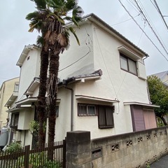 【無料】シュロの木2本（高さ5〜6m）｜専門業者による伐採・抜根が可能な方へ（川崎市宮前区）の画像