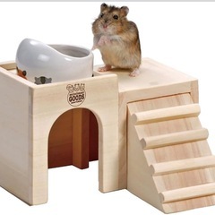 ミニマルランド ハムちゃんの2階でごはんの画像