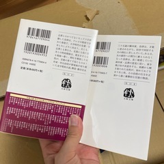 ダブル・ファンタジー　上下の画像