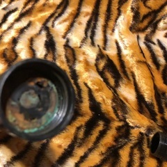 誘導灯　Jank💡の画像