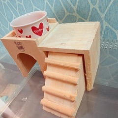 スドー ピッコリーノ エサ入れ Sハートの画像