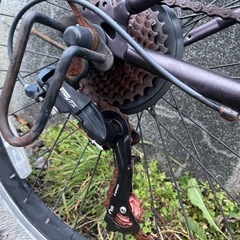 セミファットFORTERA ABCRUNCH
ジャンクの画像