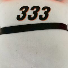 【Giants】 読売ジャイアンツ ジャビット ぬいぐるみ 333 555 セット 読売新聞 北陸シリーズ 野球 球団 A0772YGの画像