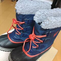 ソレル　20センチの画像