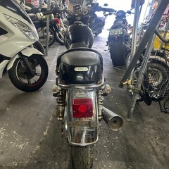 ボルディの画像