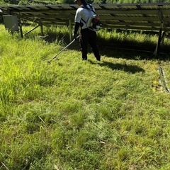 草刈り作業募集！【太陽光発電所内】の画像