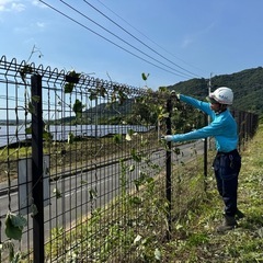 草刈り作業募集！【太陽光発電所内】の画像