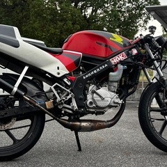 ns1 即膝 
63cc白ナンバーの画像