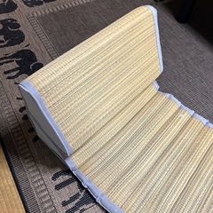 ニトリ　ごろ寝用　い草マットの画像