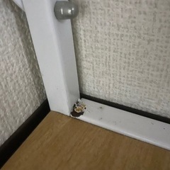 無料でお譲りします✨PCデスク2台（茶・ナチュラル）相模原市南区引き取りの画像