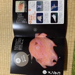 【お話し中】図鑑　深海の生物 の画像