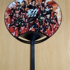 レノファ山口応援グッズ　うちわ2枚の画像