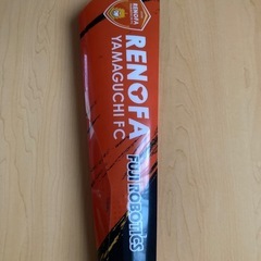 レノファ山口応援グッズ　うちわ2枚の画像