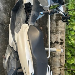 PCX JF81　の画像