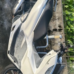 PCX JF81　の画像