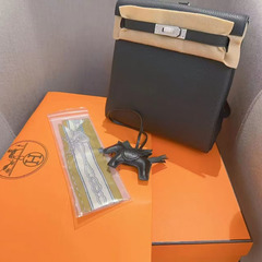 HERMES BAS42の画像